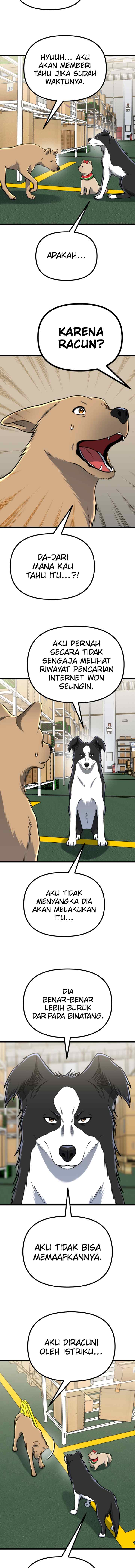 Father Like A Dog chapter 50 halaman 15