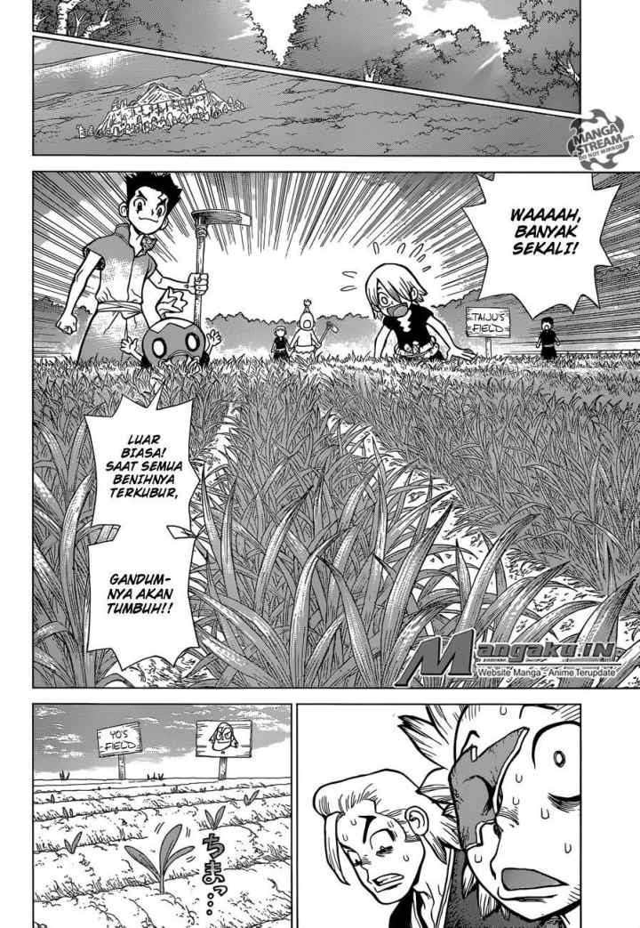 Dr. Stone chapter 91 halaman 12