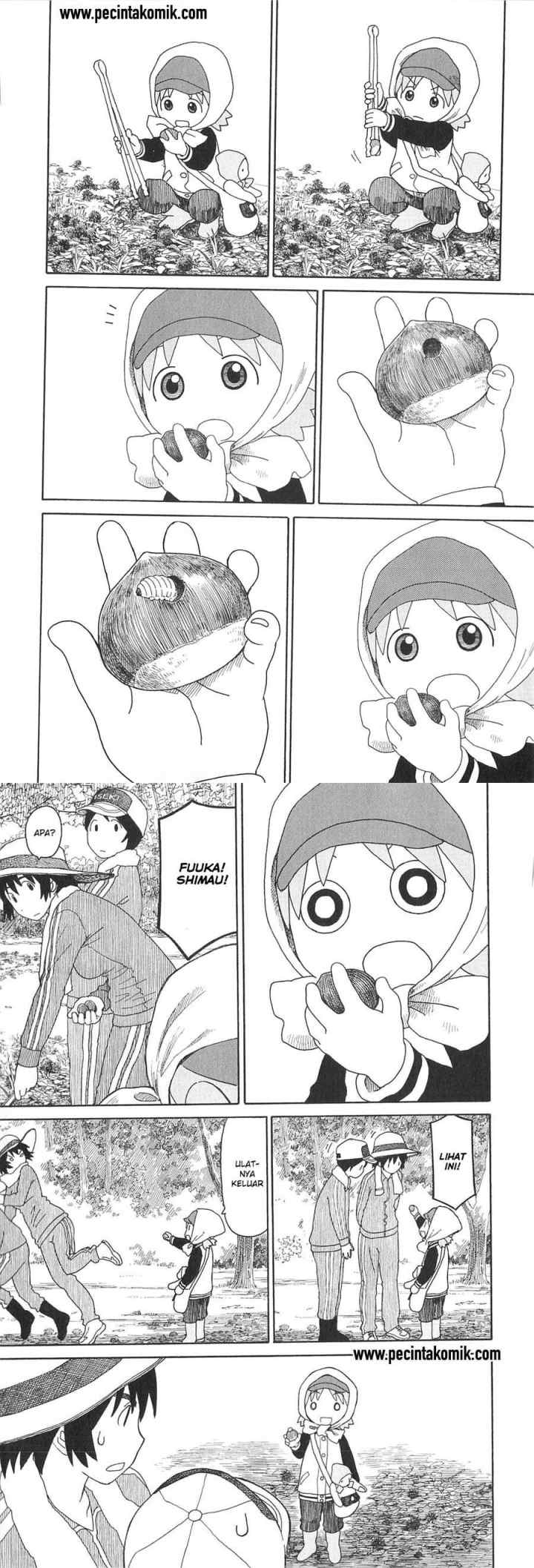 Yotsuba to! chapter 73 halaman 13