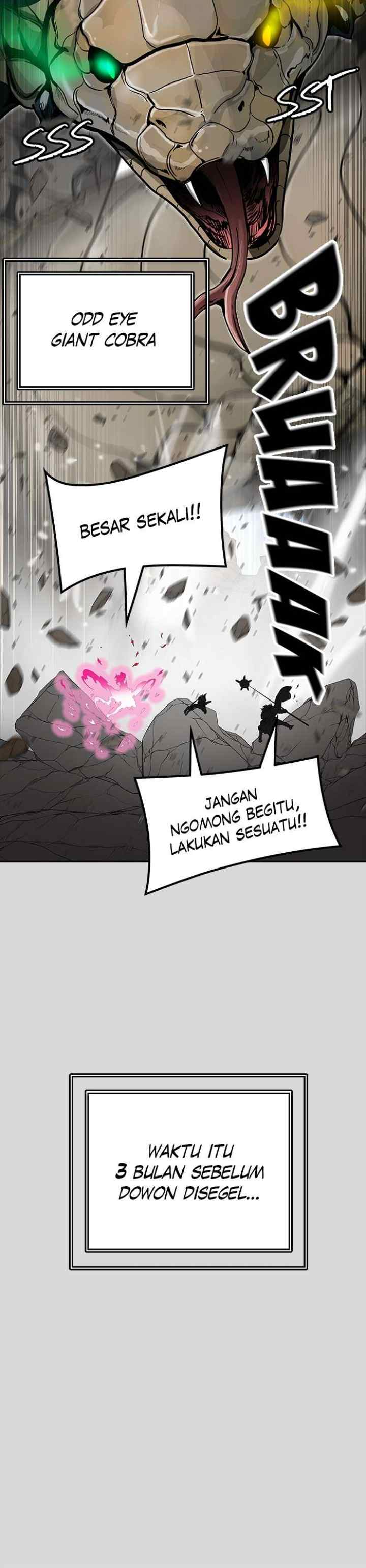 Tower of God chapter 455 halaman 19