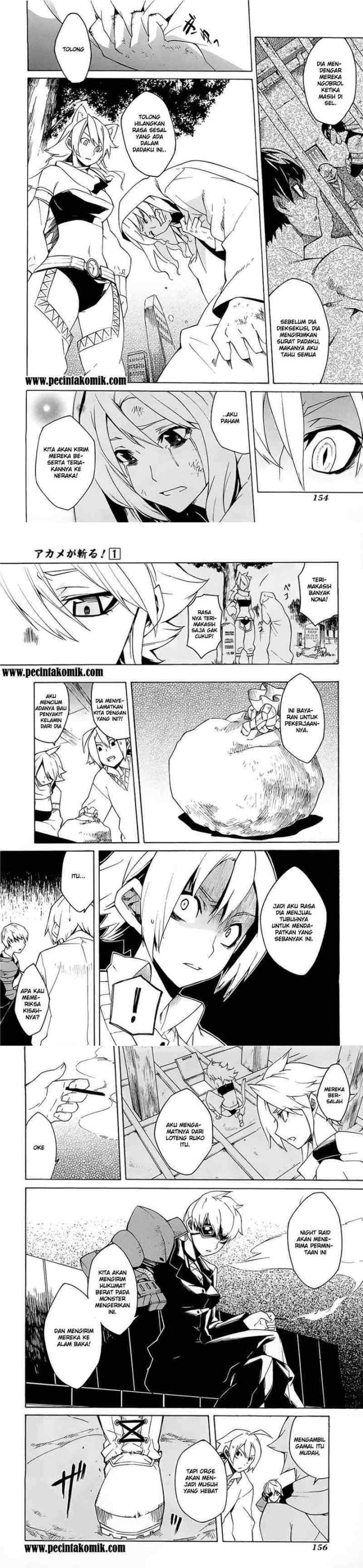 Akame ga Kill! chapter 3 halaman 5