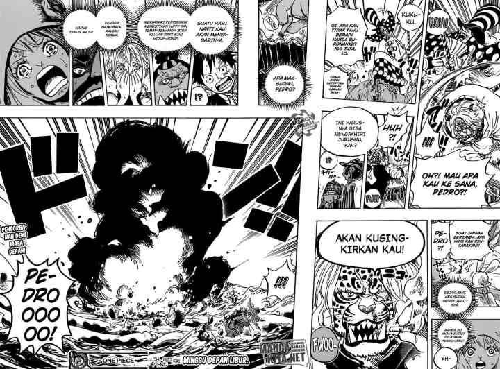 One Piece chapter 877 halaman 16