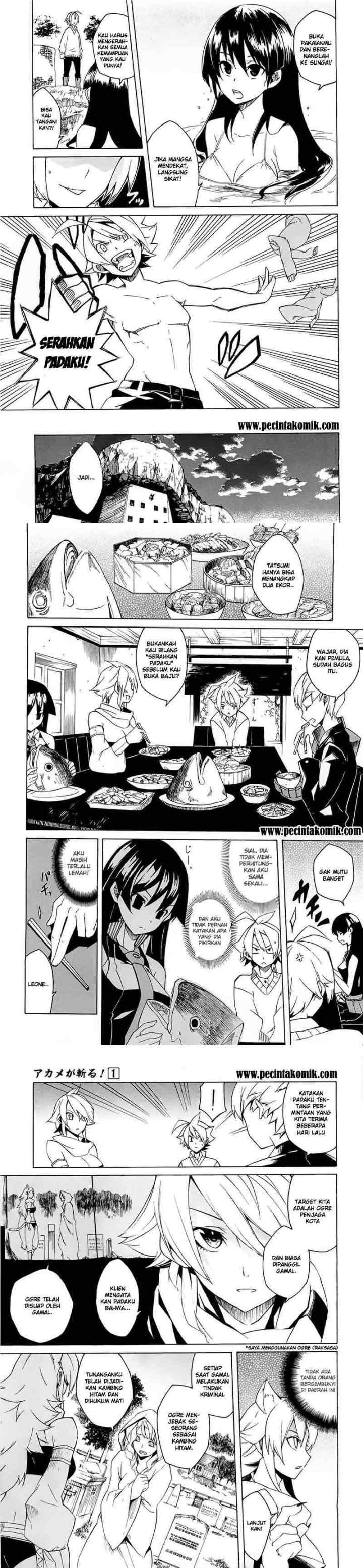 Akame ga Kill! chapter 3 halaman 4