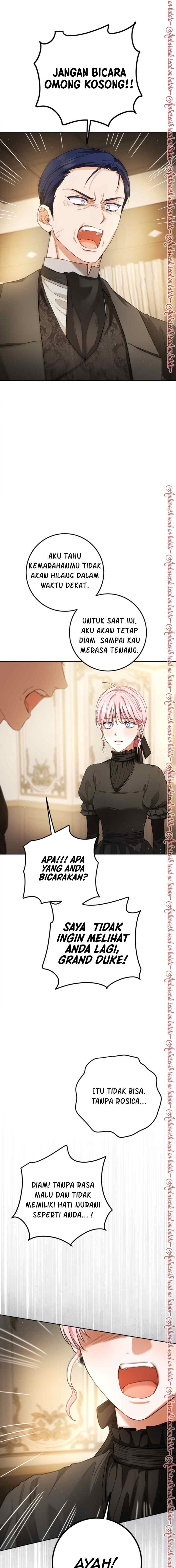 The Princess's Double Life chapter 108 halaman 17