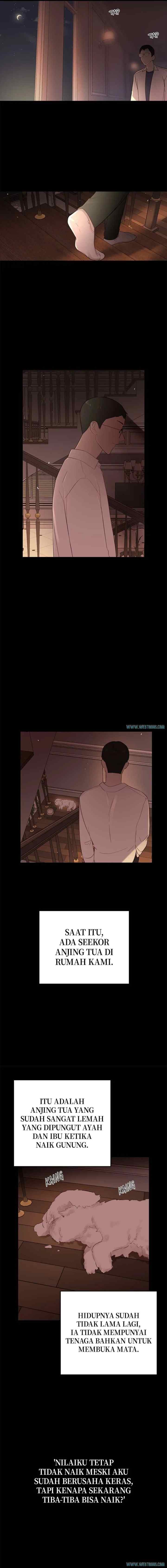 Como Domar um Marido Perigoso chapter 19 halaman 6
