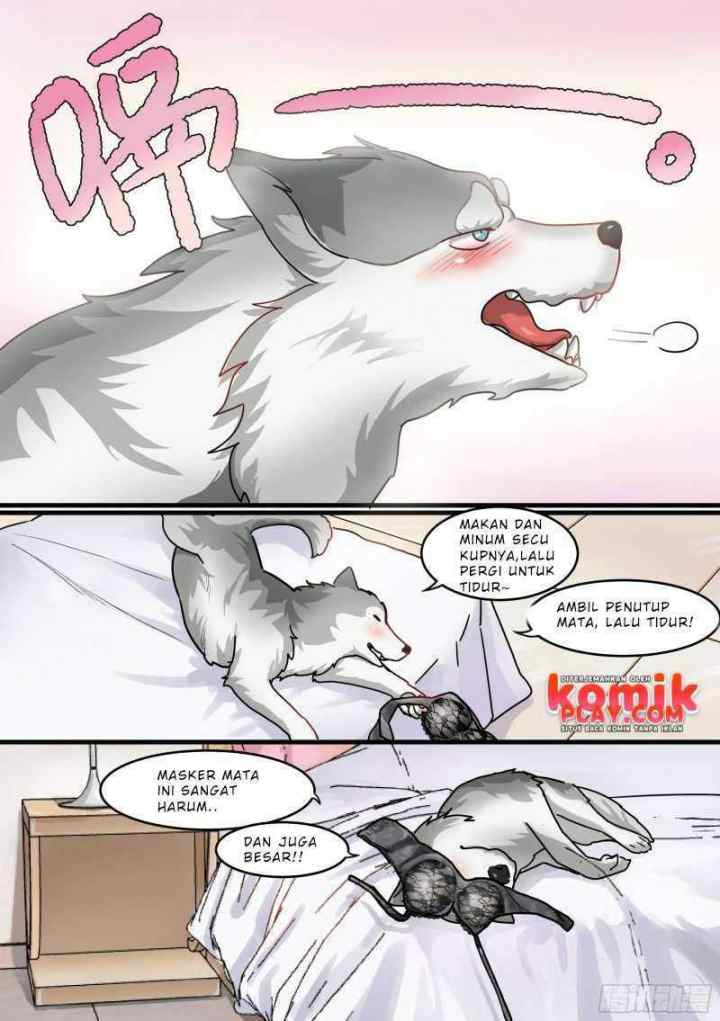 Live Stream: The Husky of the Goddess chapter 1 halaman 11