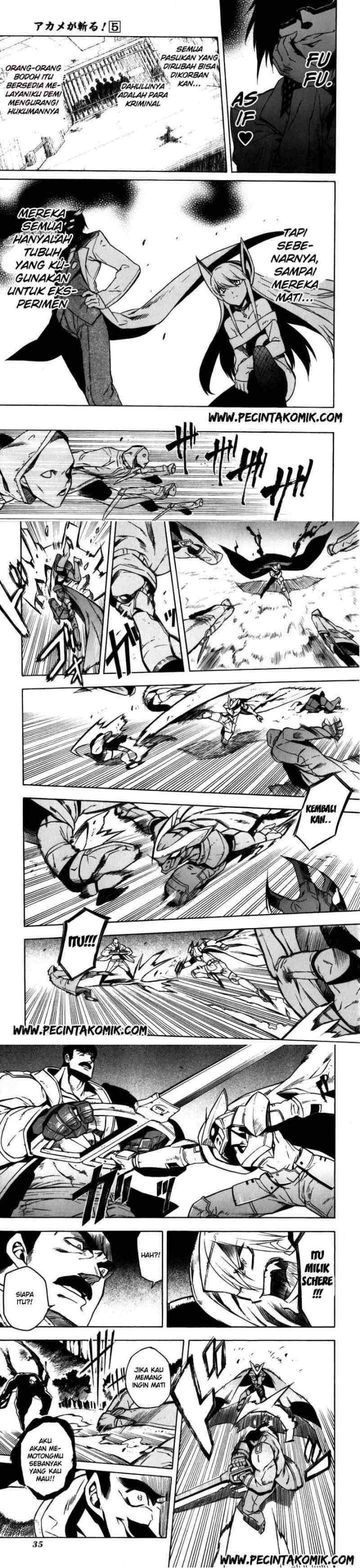 Akame ga Kill! chapter 20 halaman 14