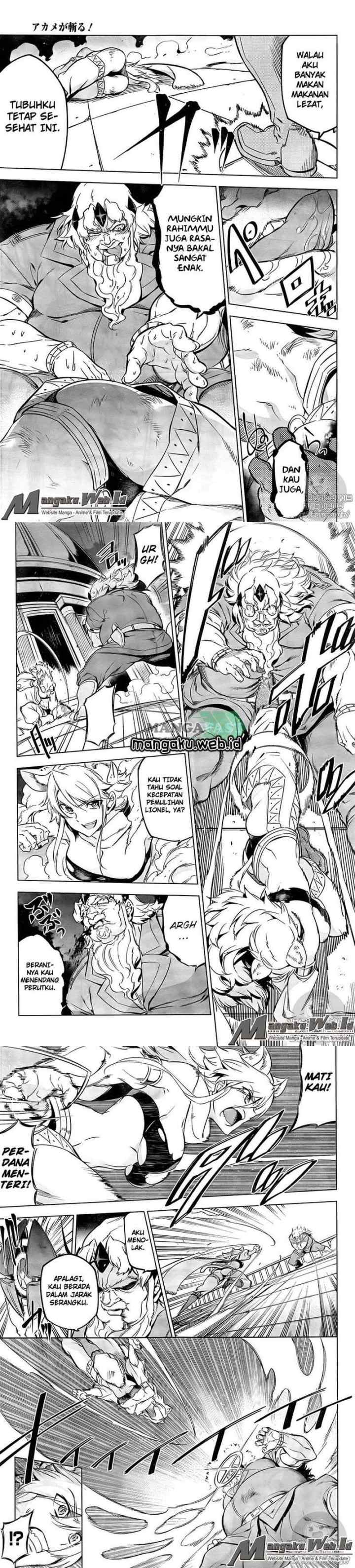 Akame ga Kill! chapter 72 halaman 4