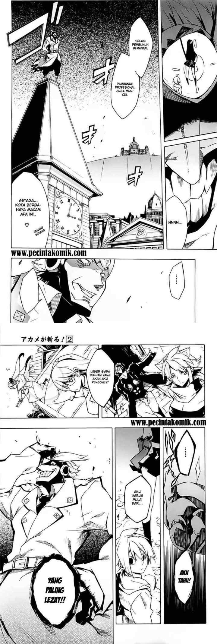 Akame ga Kill! chapter 5 halaman 12