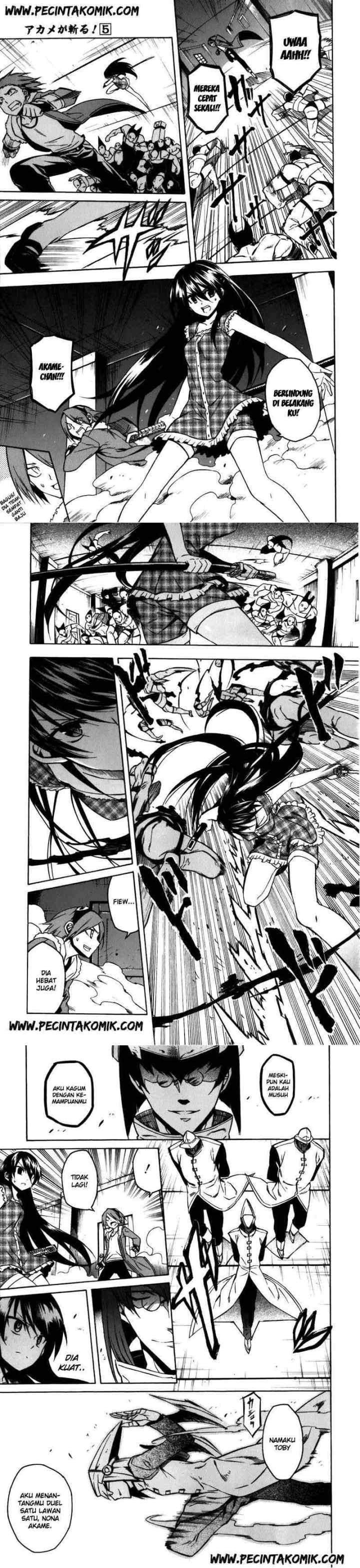 Akame ga Kill! chapter 20 halaman 10