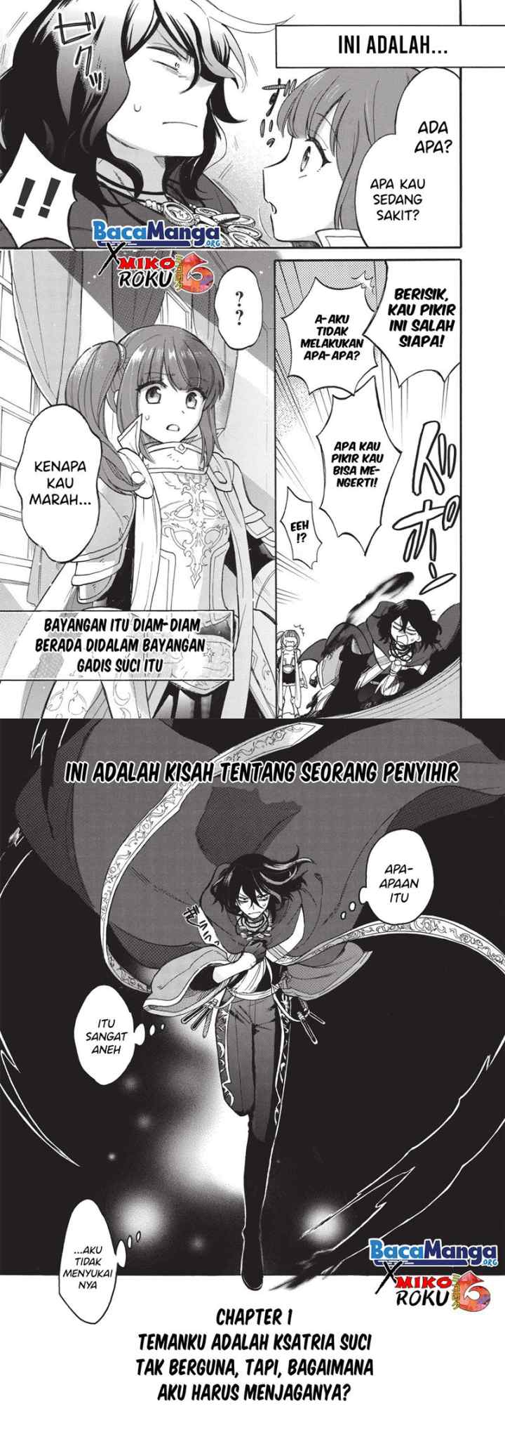 Akuyuu No Ore Ga Ponkotsu Kishi Wo Mite Rare Naindaga, Dou Sewa Wo Yaki Yaii? ～ Madome Gaiden～ chapter 1 halaman 17