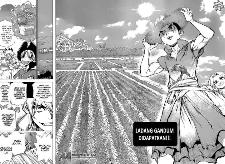 Dr. Stone chapter 91 halaman 16