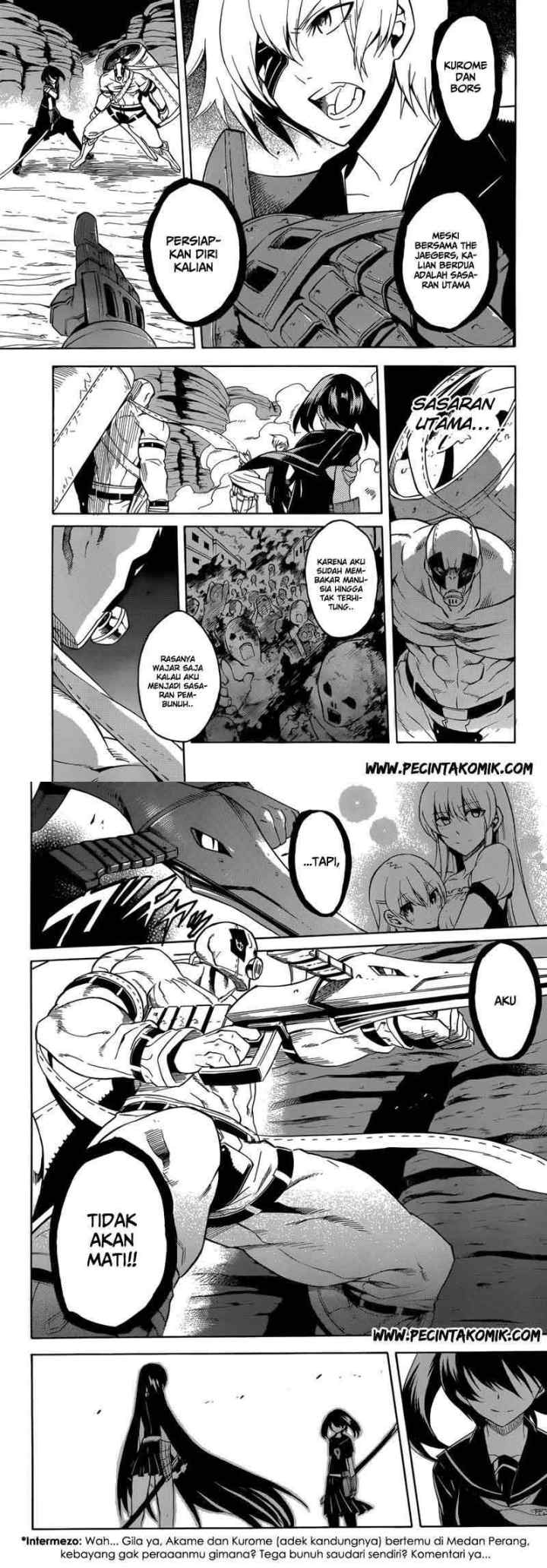 Akame ga Kill! chapter 29 halaman 12