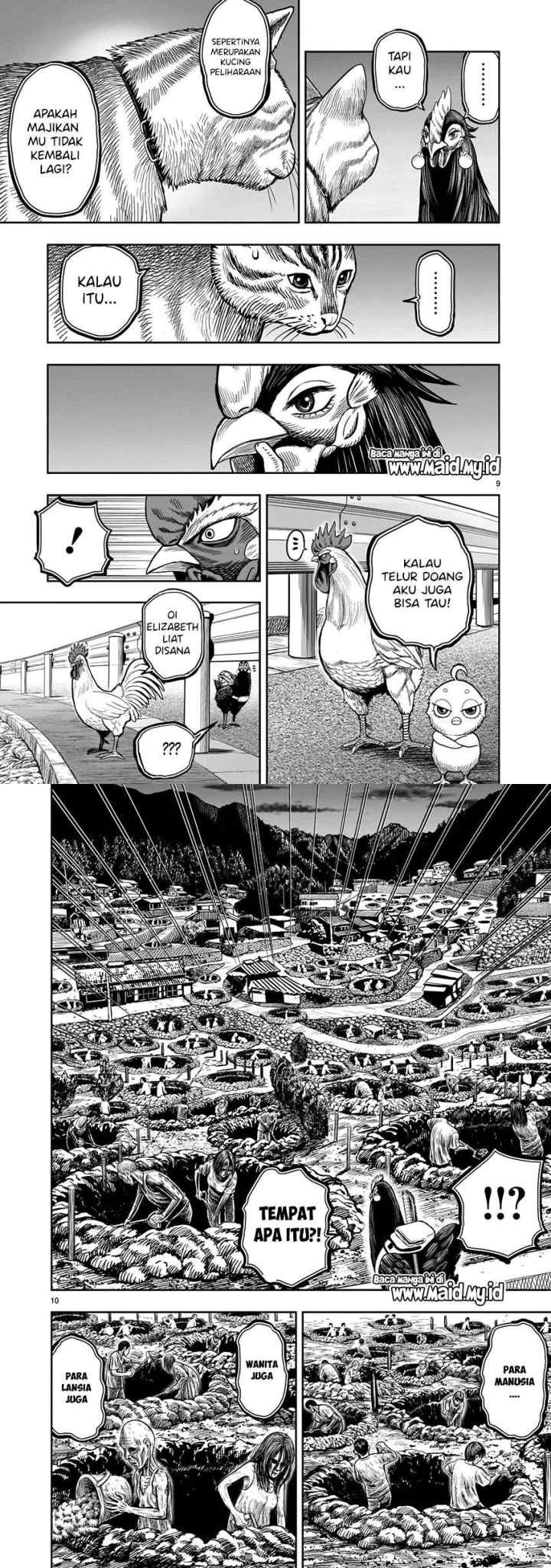 Rooster Fighter chapter 9 halaman 6