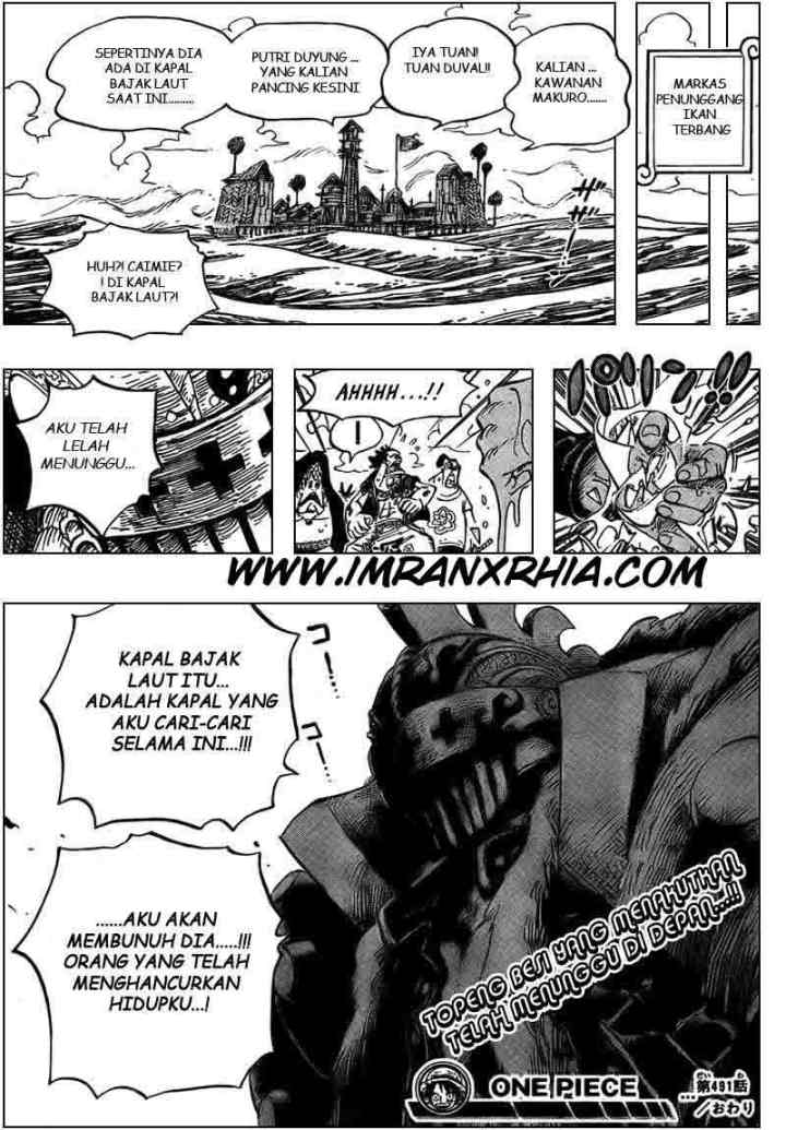 One Piece chapter 491 halaman 19