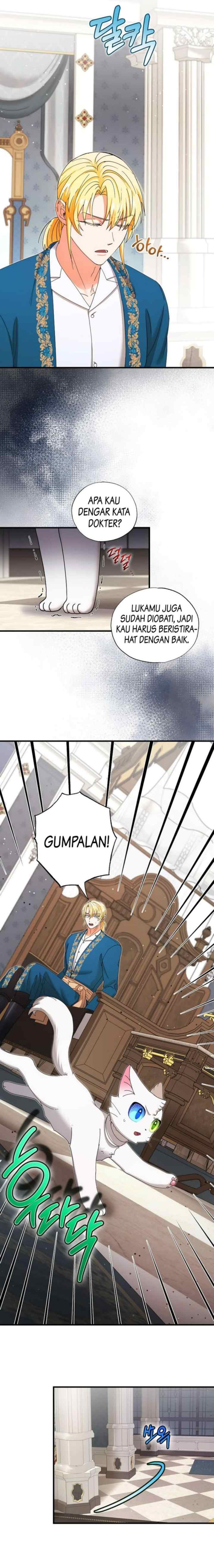 I Became the Emperor's Cat chapter 25 halaman 13