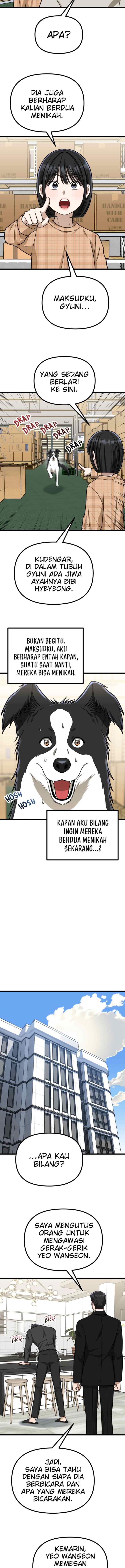 Father Like A Dog chapter 55 halaman 6