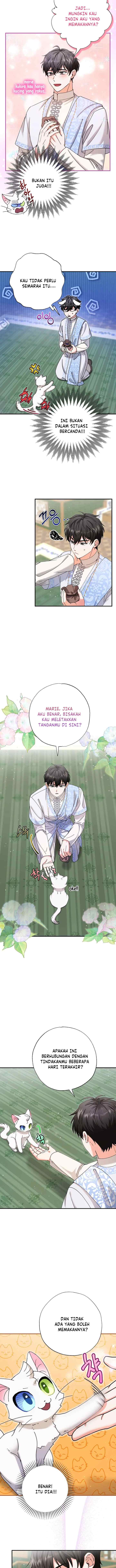 I Became the Emperor's Cat chapter 11 halaman 8