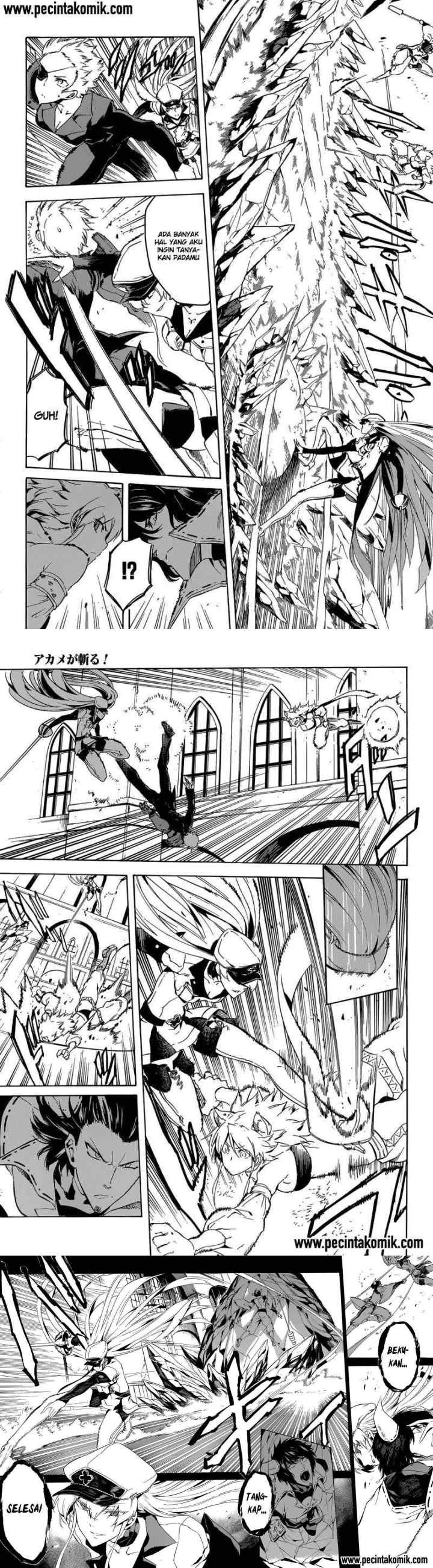 Akame ga Kill! chapter 42 halaman 13