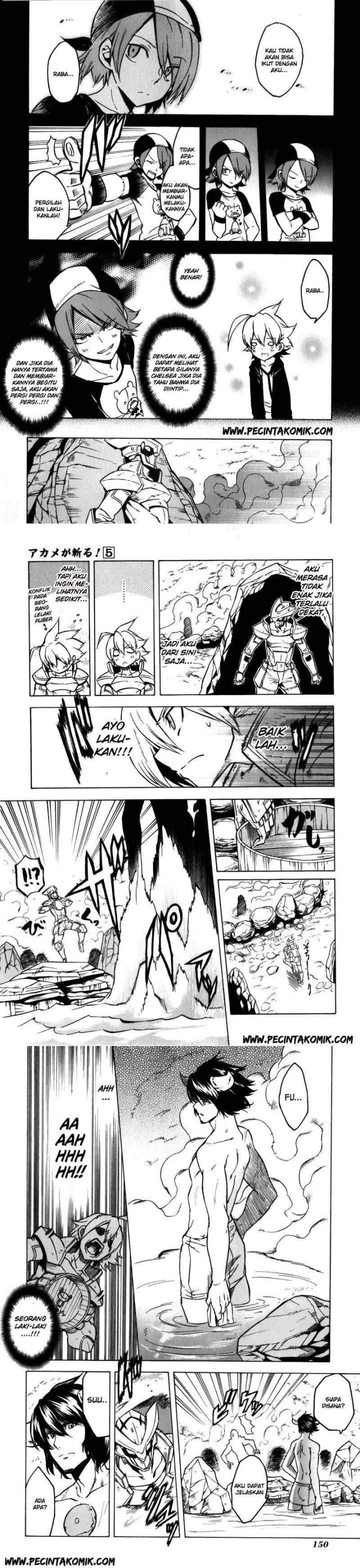 Akame ga Kill! chapter 23 halaman 10