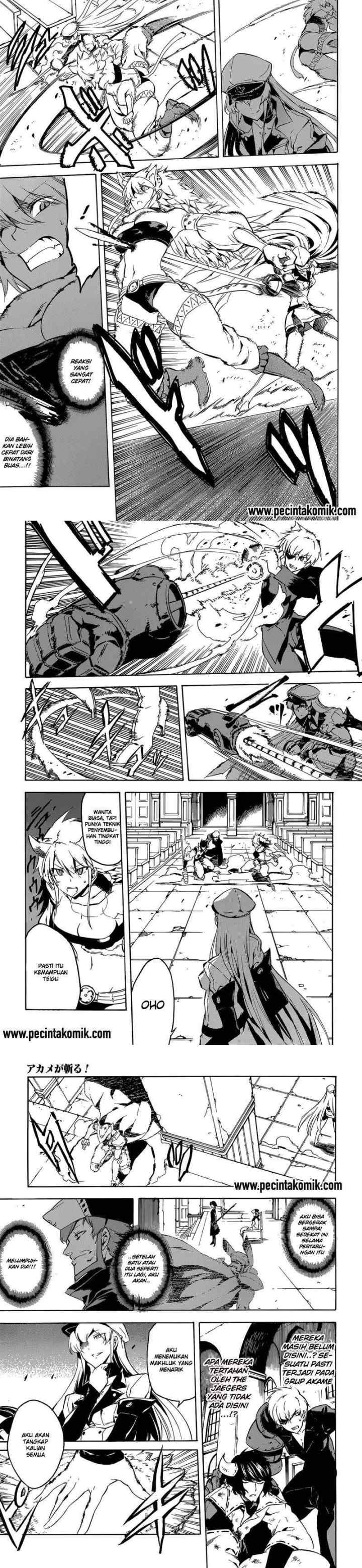 Akame ga Kill! chapter 42 halaman 12