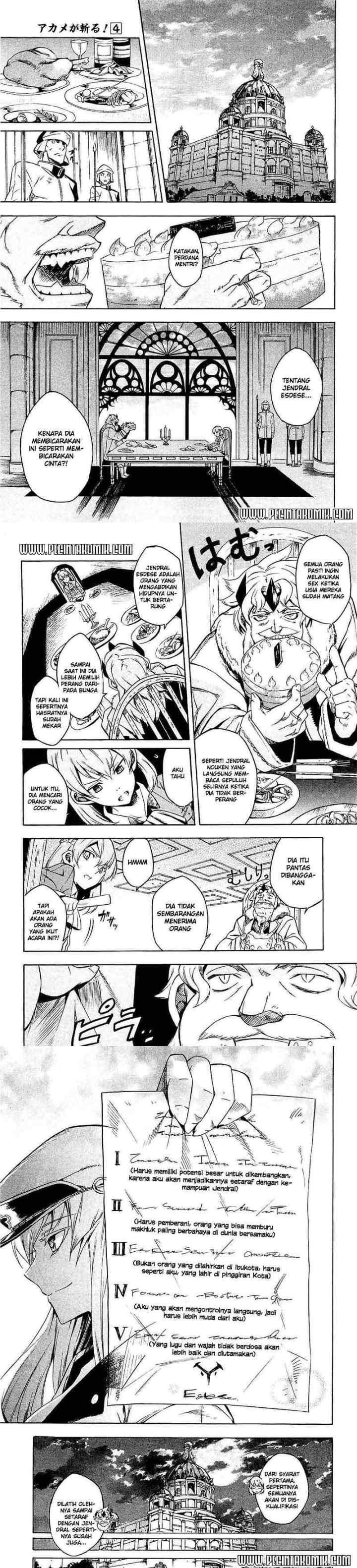 Akame ga Kill! chapter 16 halaman 9