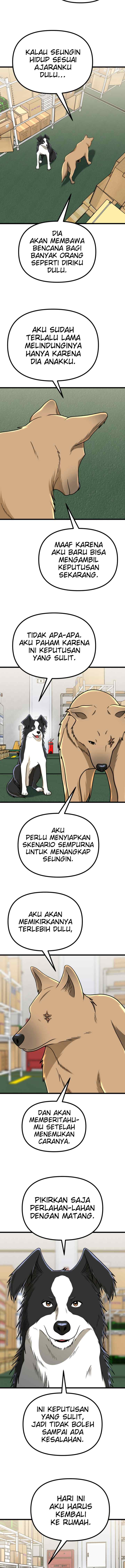 Father Like A Dog chapter 55 halaman 12