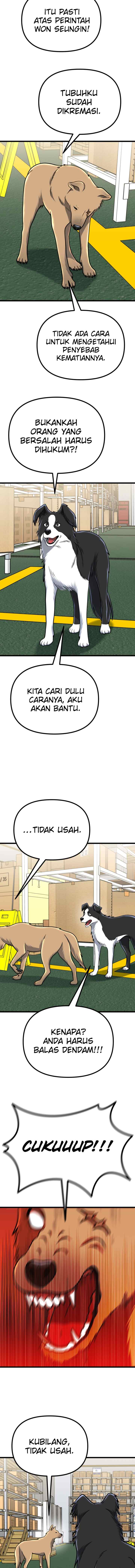 Father Like A Dog chapter 50 halaman 16