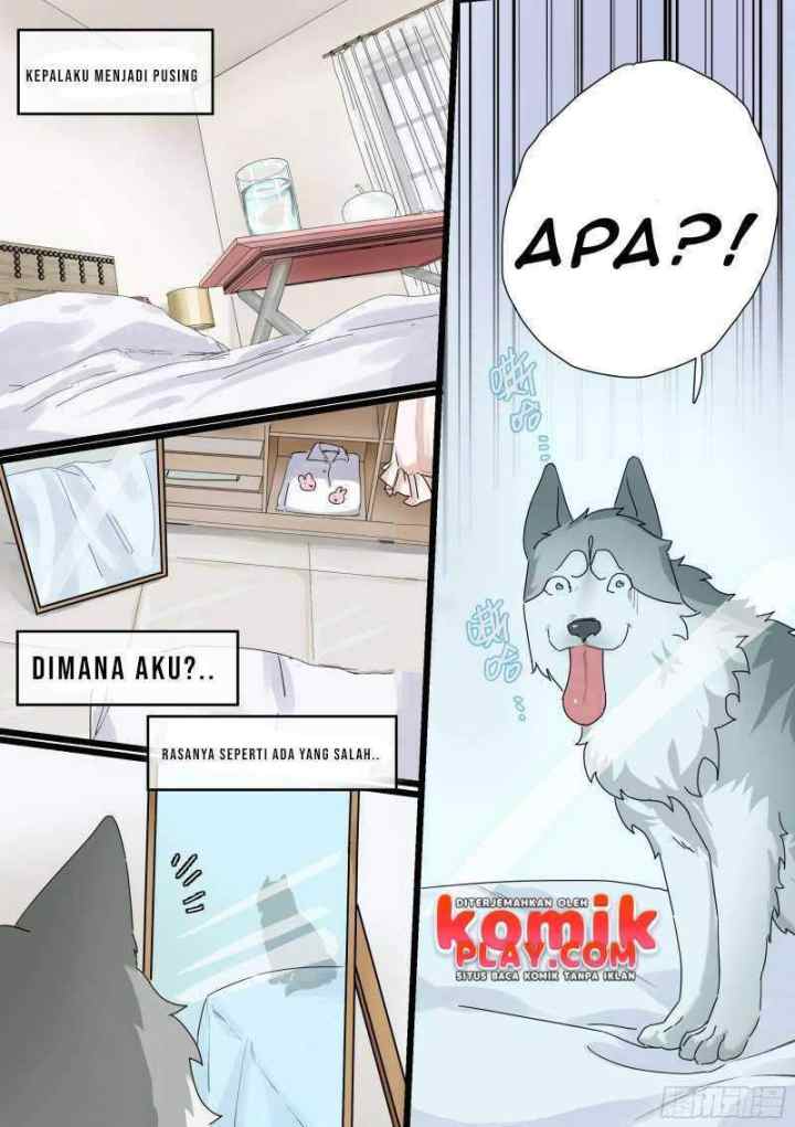 Live Stream: The Husky of the Goddess chapter 1 halaman 4