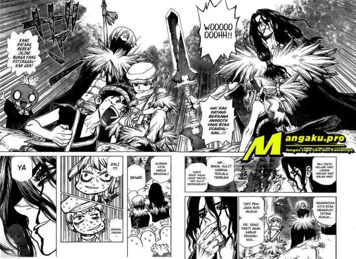 Dr. Stone chapter 160 halaman 14