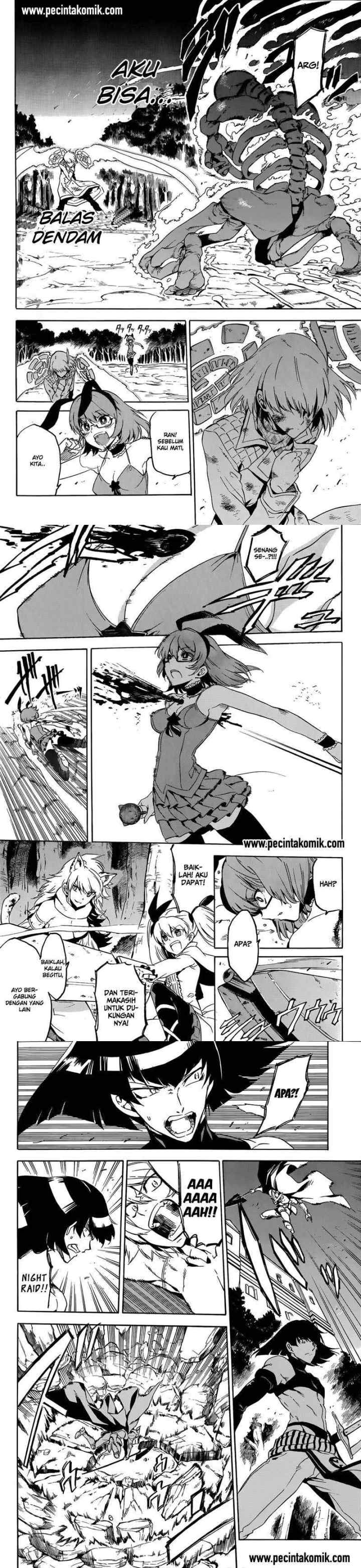 Akame ga Kill! chapter 49 halaman 12