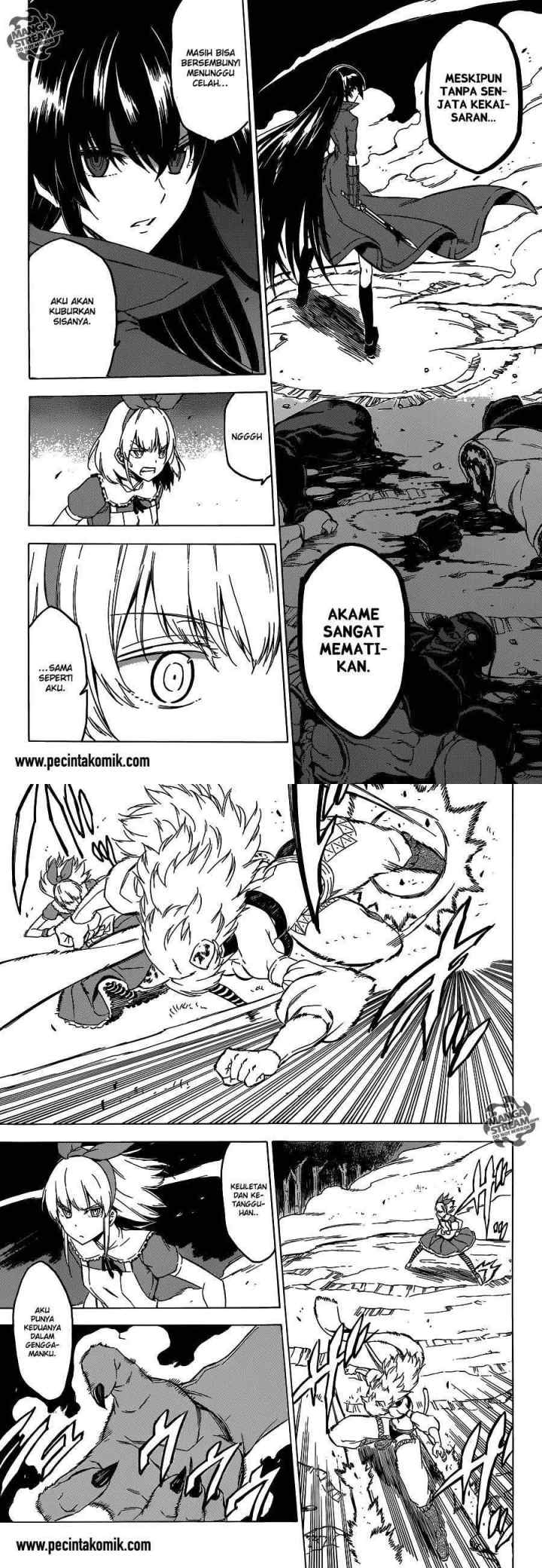 Akame ga Kill! chapter 59 halaman 11