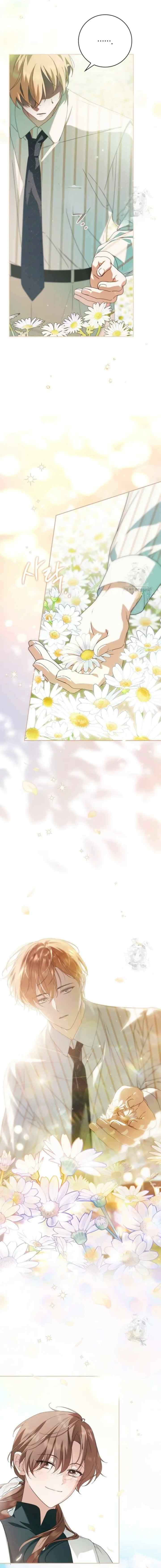 The Count's Secret Maid chapter 31 halaman 8
