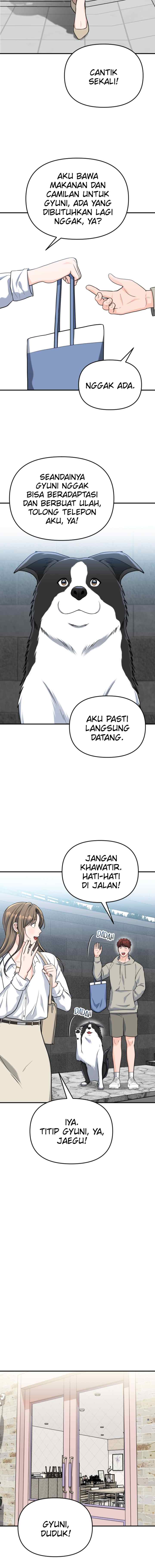 Father Like A Dog chapter 5 halaman 7