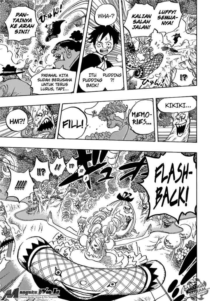 One Piece chapter 876 halaman 13