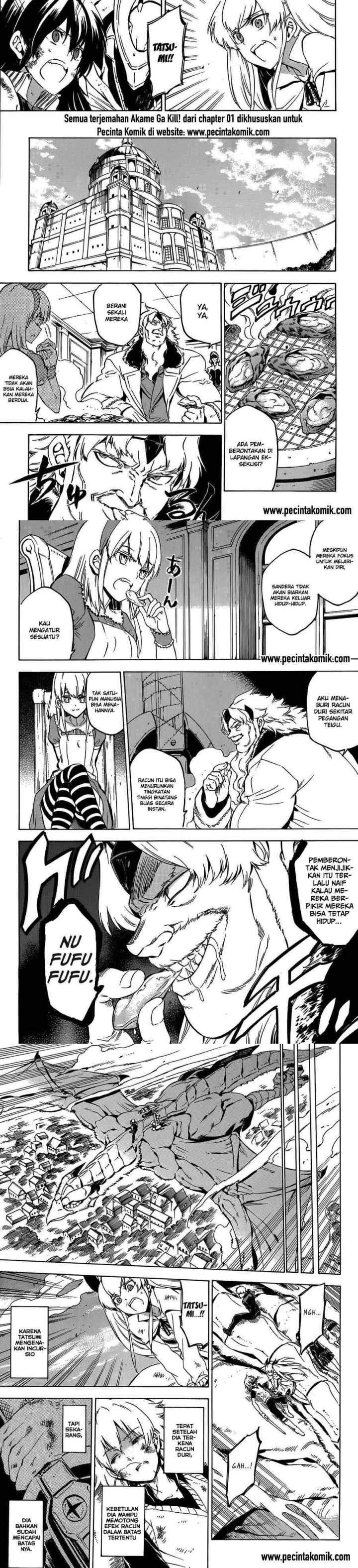 Akame ga Kill! chapter 56 halaman 11
