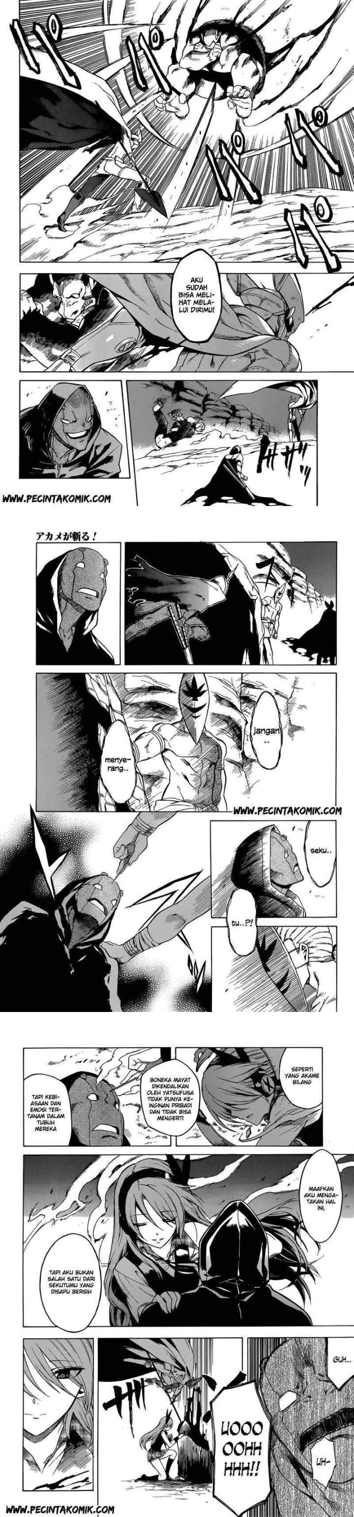Akame ga Kill! chapter 31 halaman 9