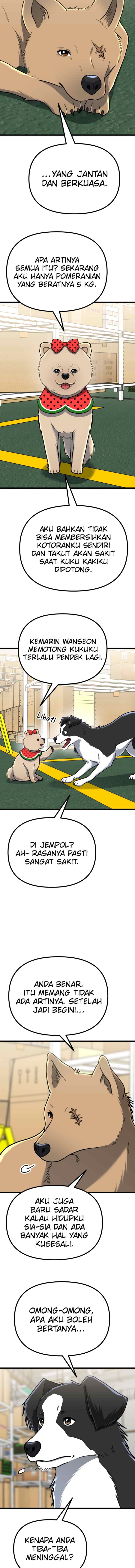Father Like A Dog chapter 50 halaman 14