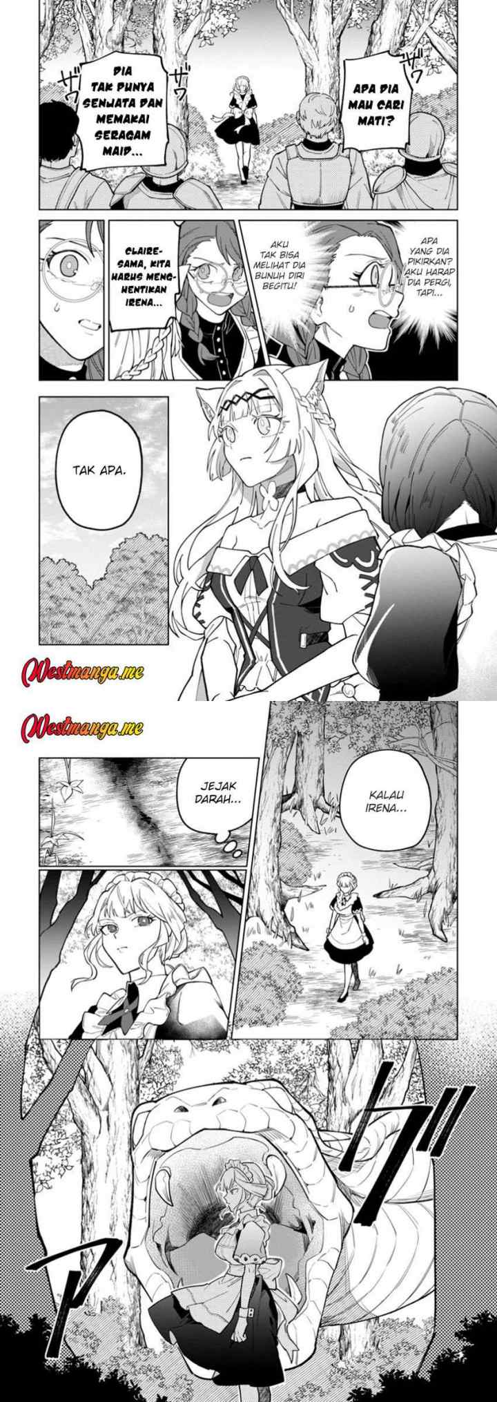 The White Mage Who Was Banished From the Hero's Party Is Picked up by an S Rank Adventurer ~ This White Mage Is Too Out of the Ordinary! chapter 43 halaman 8