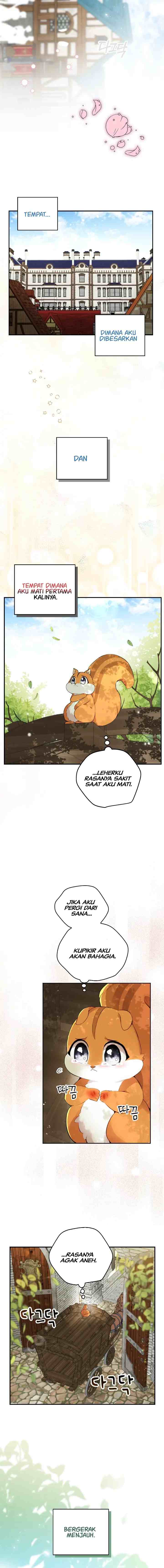 Baby Squirrel is Good at Everything chapter 2 halaman 16