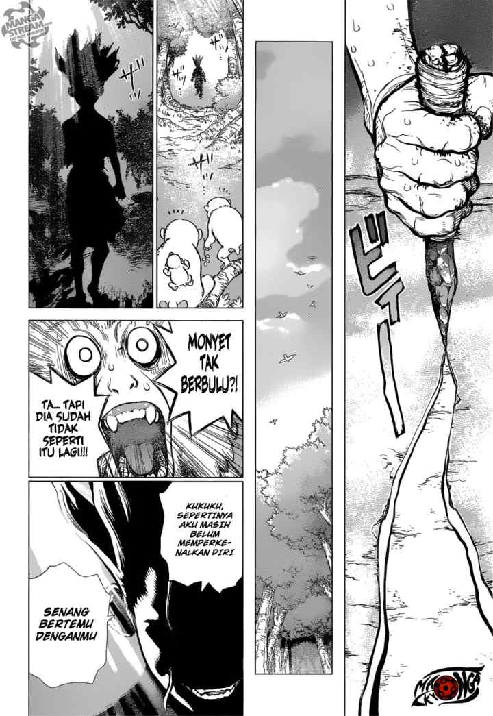 Dr. Stone chapter 13 halaman 19