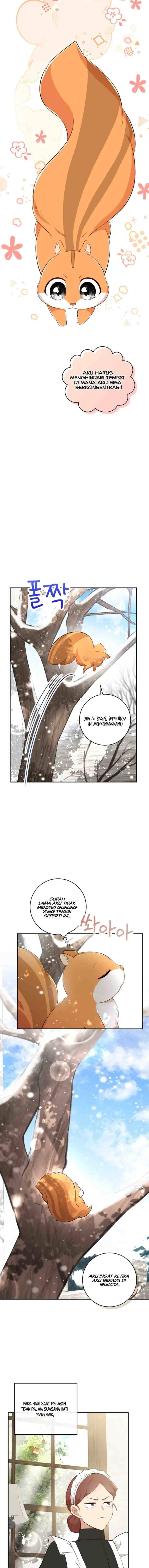 Baby Squirrel is Good at Everything chapter 22 halaman 10