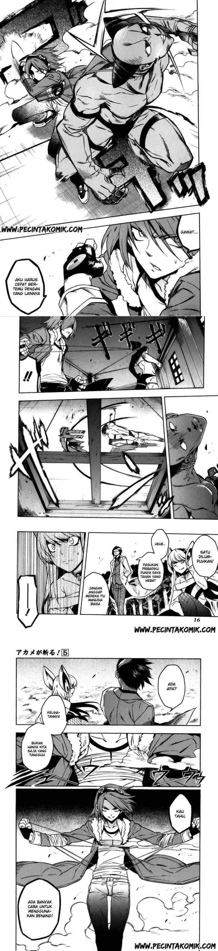 Akame ga Kill! chapter 20 halaman 8