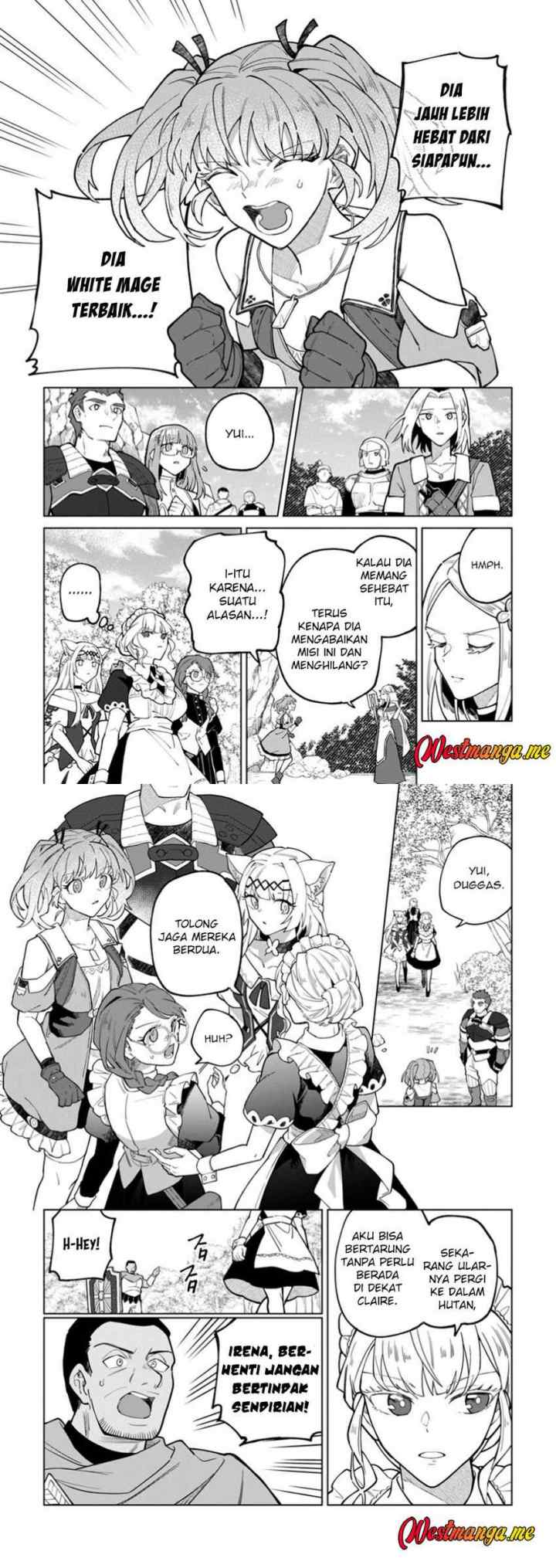 The White Mage Who Was Banished From the Hero's Party Is Picked up by an S Rank Adventurer ~ This White Mage Is Too Out of the Ordinary! chapter 43 halaman 7