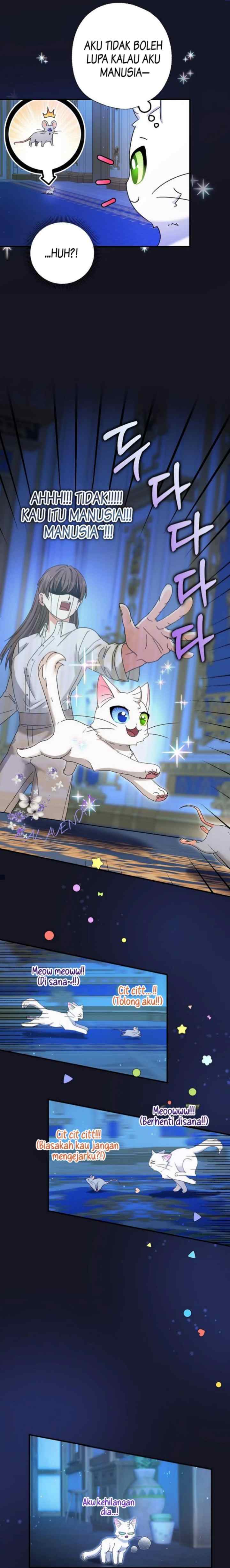I Became the Emperor's Cat chapter 5 halaman 17