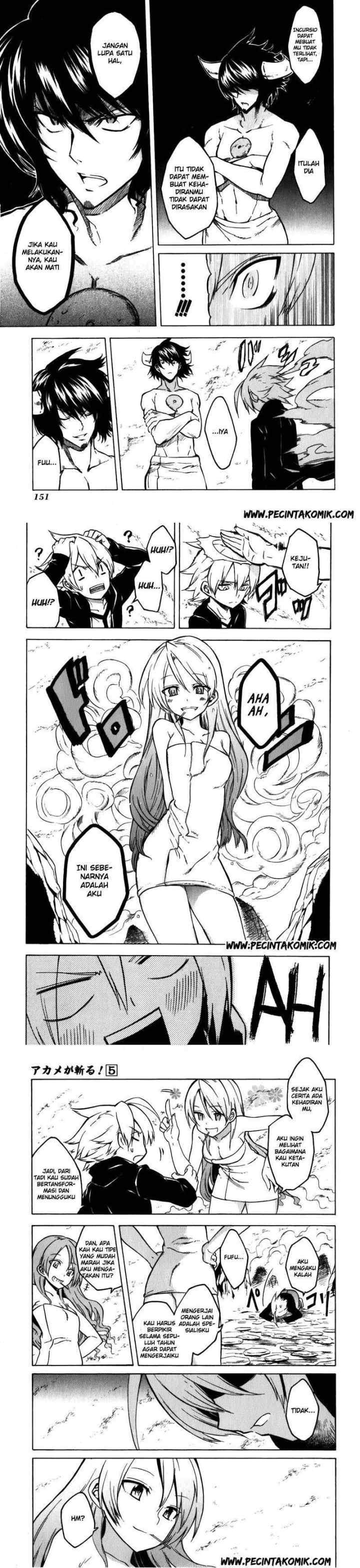 Akame ga Kill! chapter 23 halaman 11