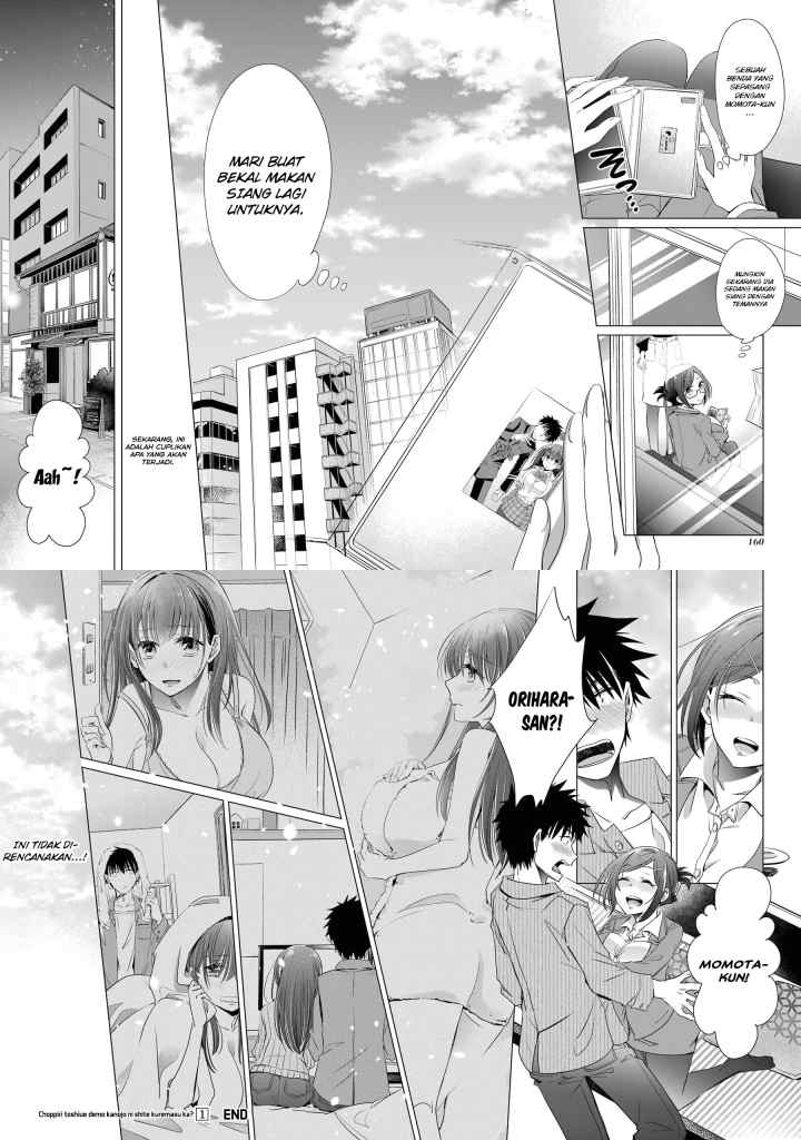 Choppiri Toshiue Demo Kanojo Ni Shite Kuremasu Ka? chapter 4 halaman 17