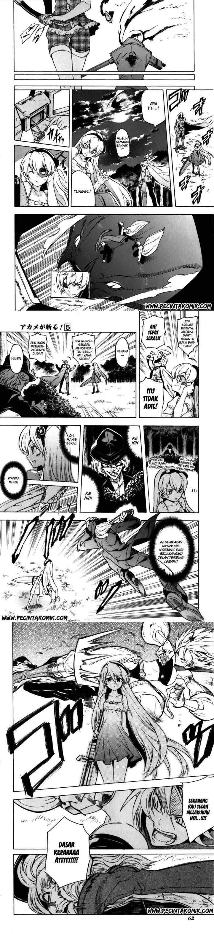 Akame ga Kill! chapter 21 halaman 4