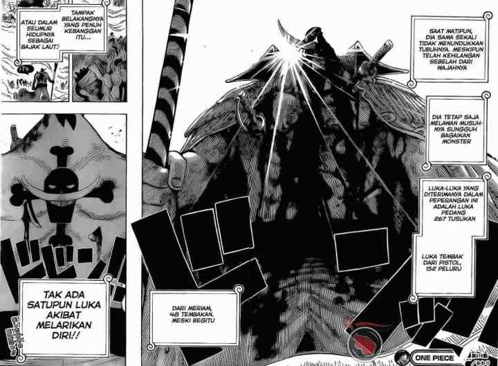 One Piece chapter 576 halaman 13
