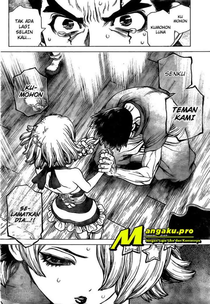 Dr. Stone chapter 160 halaman 12